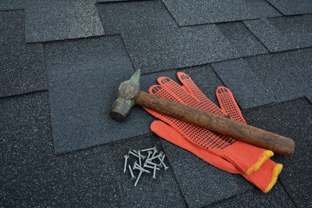 Black Bear Roofing & Exteriors: Leading the Way in Quality Roofing and Exterior Solutions