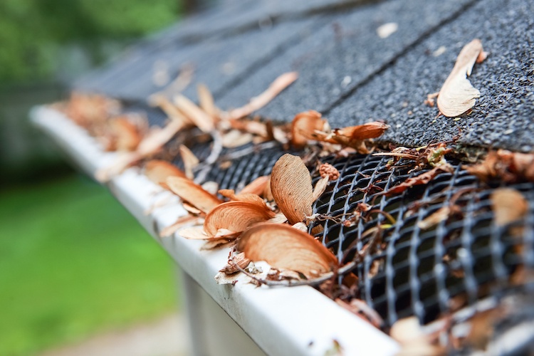 Richmond Gutter Company: The Best Option in Richmond, Virginia for Gutter Solutions